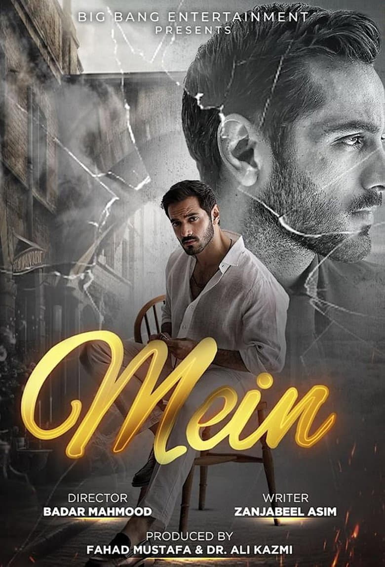 Mein (ARY Digital)