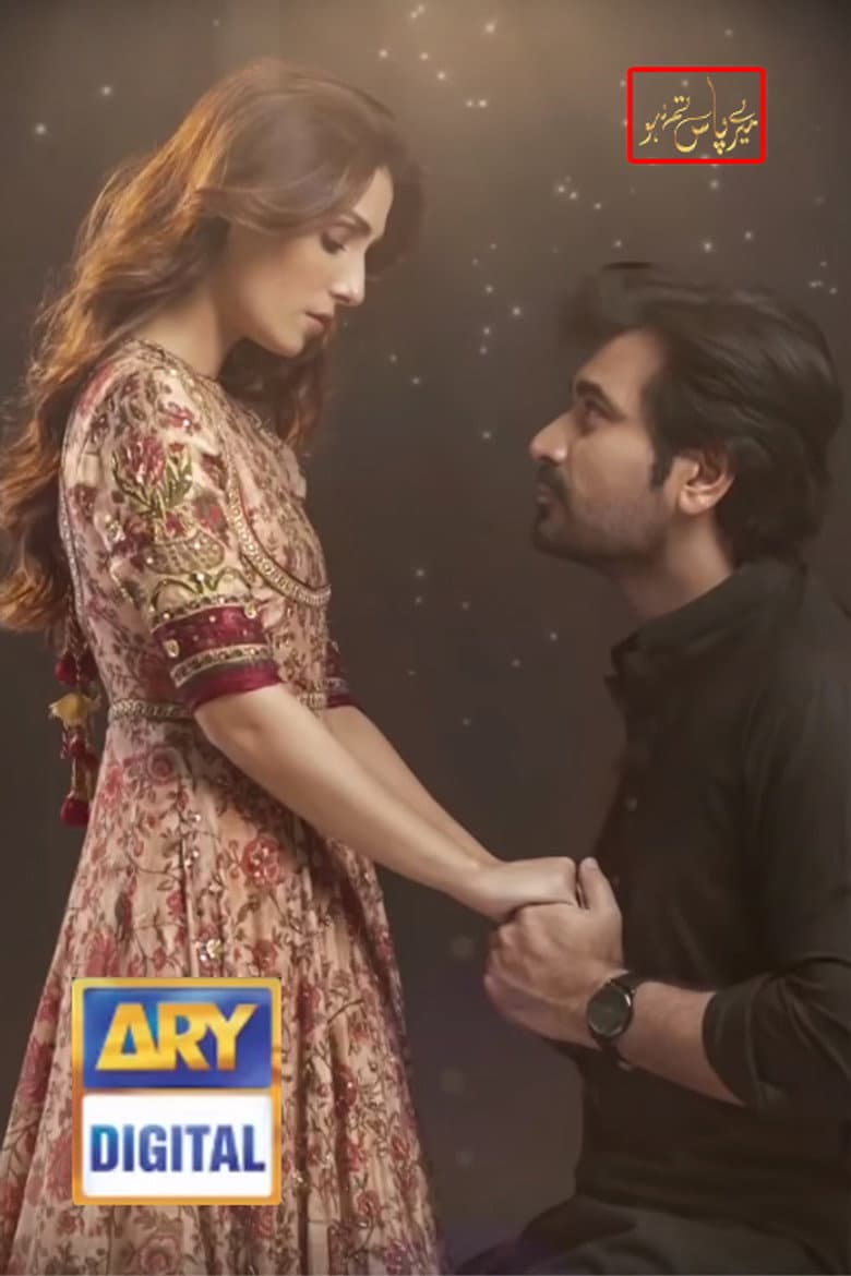 Meray Paas Tum Ho (ARY Digital)