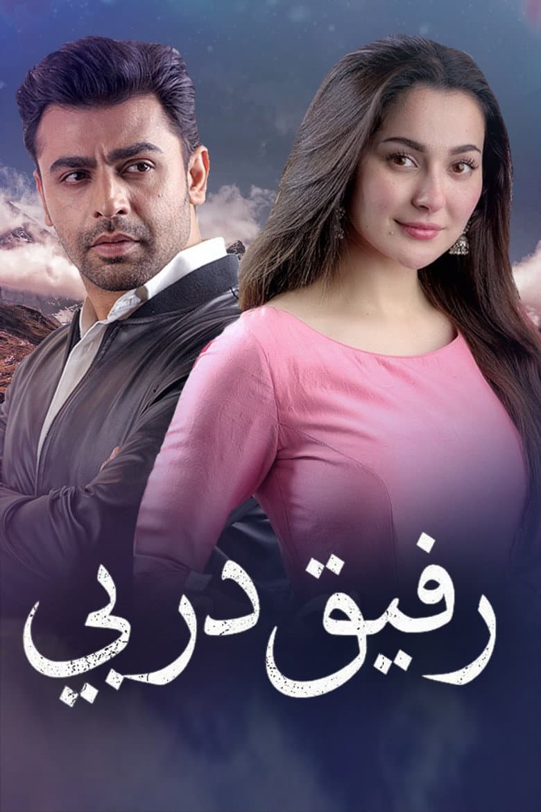 Mere Humsafar (ARY Digital)